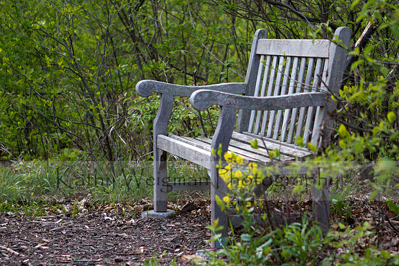 Bench