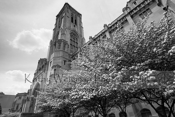 Scottish Rite Cathedral in Black & White