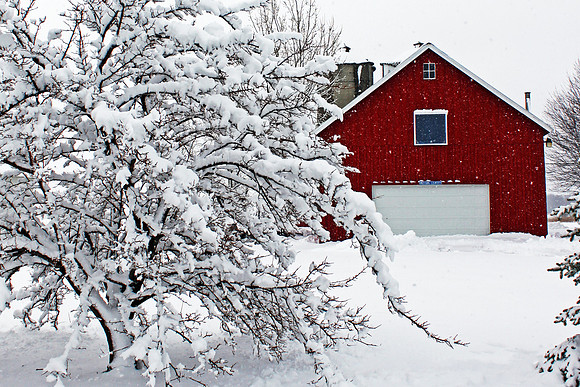 Red Barn in Winter