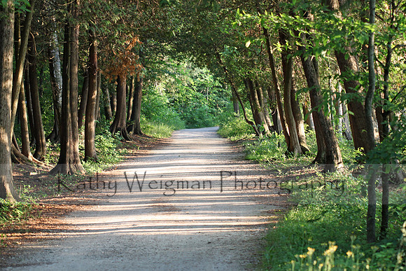 Path