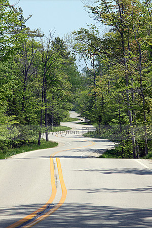 Road to Northport in Summer