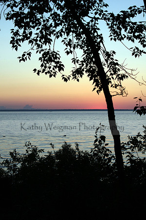 Pink Sunset