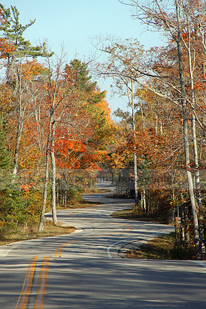 Road to Northport - Fall