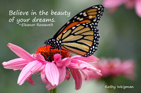 Believe in the beauty...