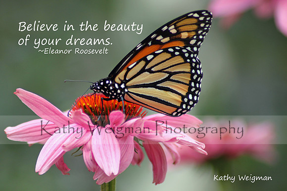 Believe in the beauty...