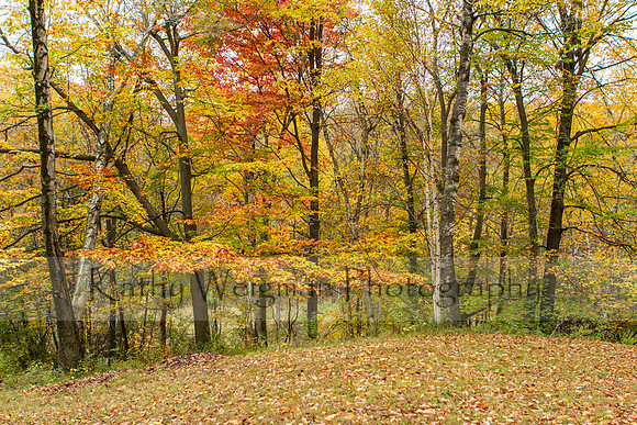 Plaman Park