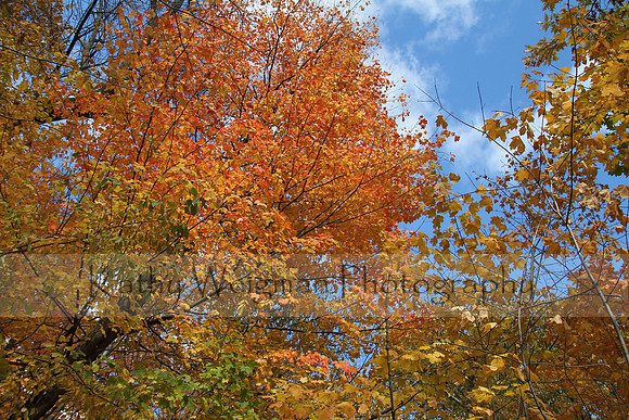 Colors of High Cliff