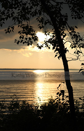 Golden Sunset