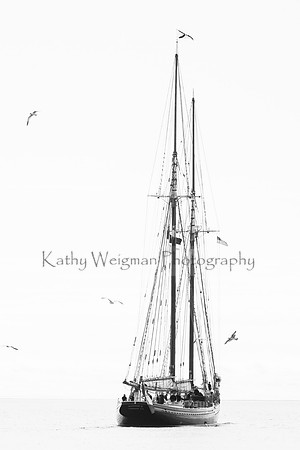 Tall Ships-3