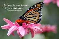 Believe in the beauty....