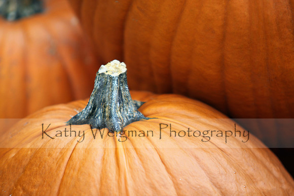 Pumpkins