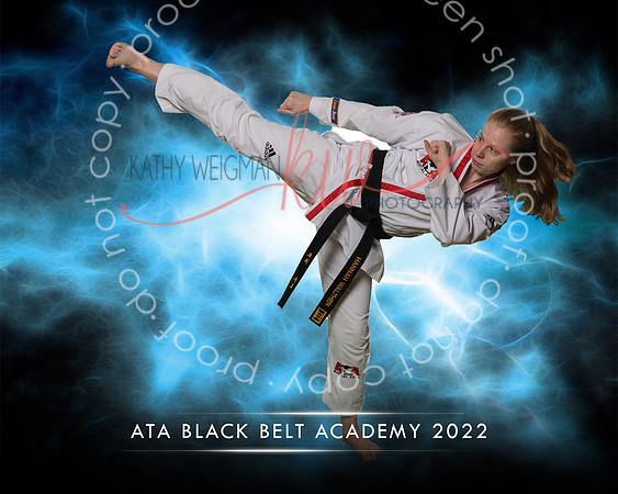 ATA - 338