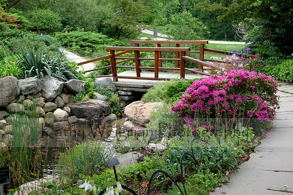 IMA Gardens