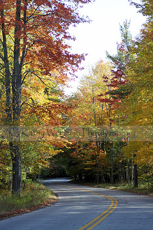 Fall Roadway